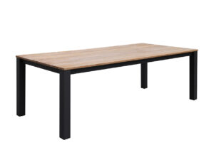 CT025 Outdoor dining table